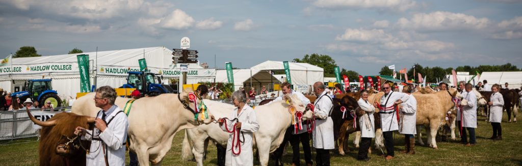 Kent county show gate prices